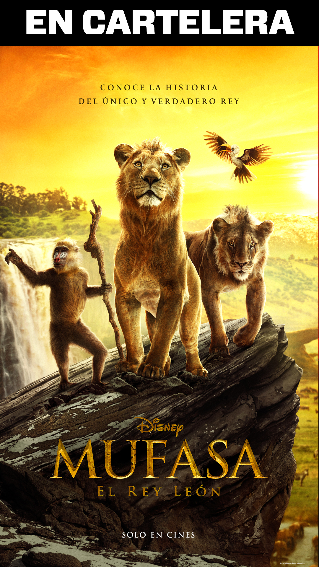 Imagen de MUFASA: EL REY LEON (ESTRENO)