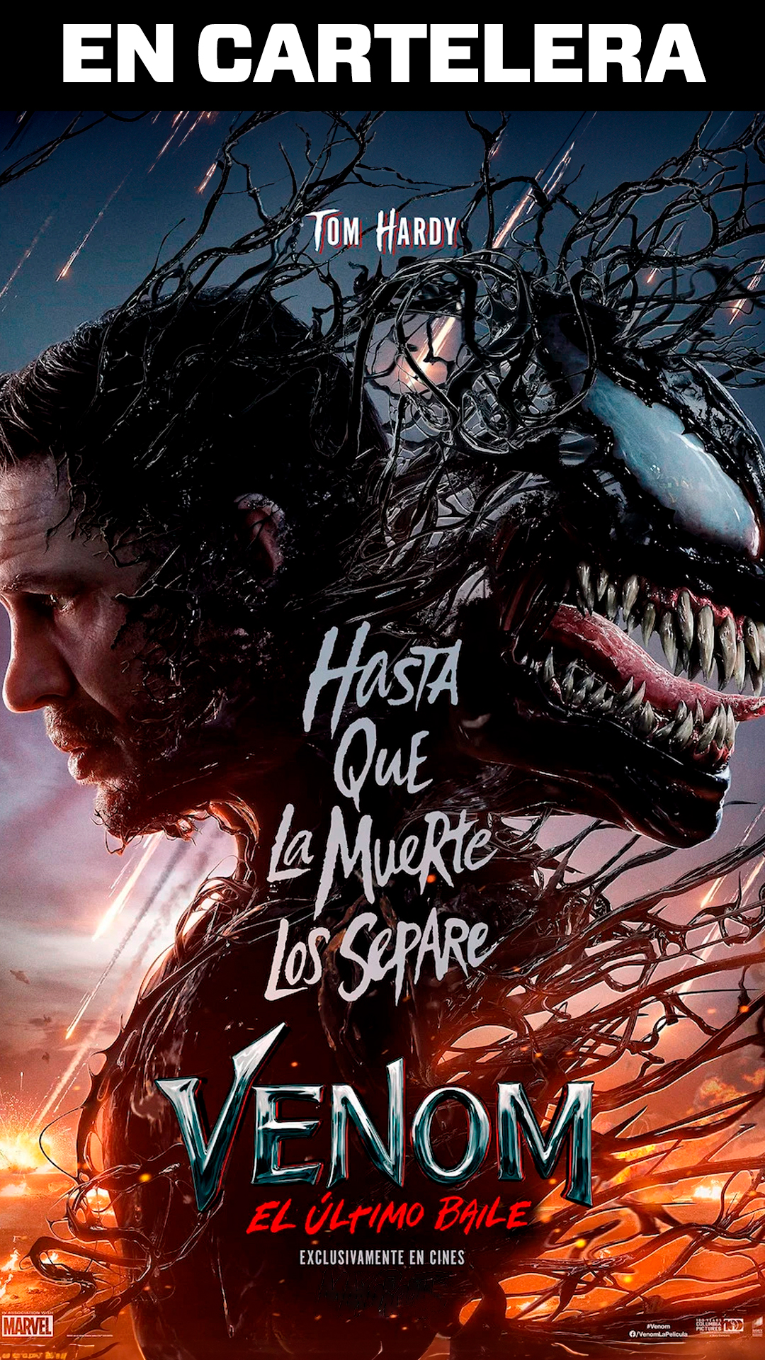 Imagen de VENOM: EL ÚLTIMO BAILE (VENOM: THE LAST DANCE)